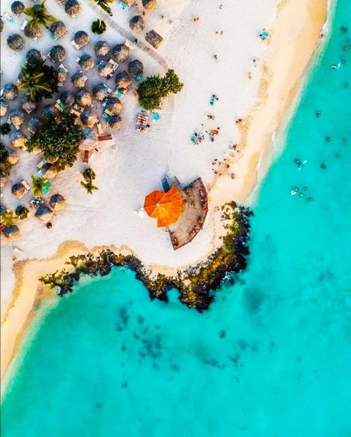Tropical Beach Байяибе Экстерьер фото
